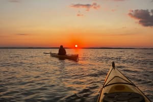 Sunset Kayak Tour in Stockholm Archipelago 3
