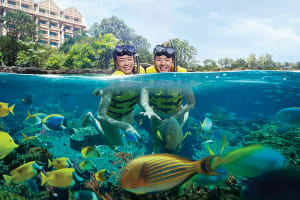 Adventure Cove Waterpark Singapore Tickets 3
