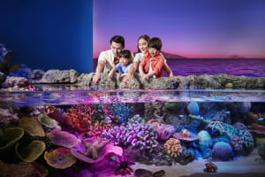 SEA LIFE Bangkok Ocean World  3