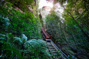 Blue Mountains Hop on Hop off + Scenic World - One Day Pass 4