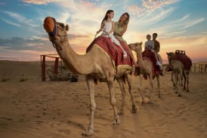 Dubai Desert Safari with Dinner and Live Show 4
