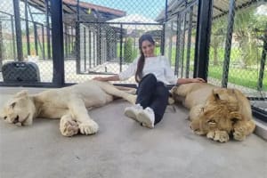 Lion Land Admission Ticket 3