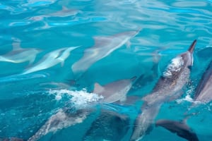 Na Pali Coast Small-Group Tour - Seiko Catamarans 3