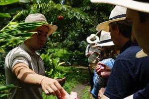 Visita a una finca cafetera de Bogotá: una experiencia  4
