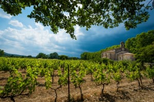 Private Albi, Cordes & Gaillac Day Trip from Toulouse 4