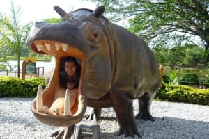 Excursión de un día a Hacienda Nápoles desde Medellín 3