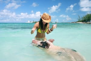 Nassau Swimming Pigs & Private Beach Club Adventure 4