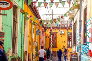 Excursión de un día a Viña del Mar y Valparaíso  4