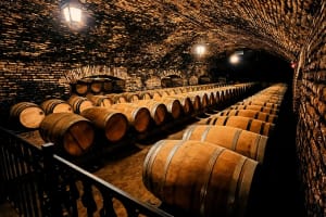 Tour de vinos premium Viña Concha y Toro desde Santiago 4