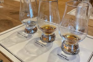 Tennessee Whiskey Experience: Tour with 11+ Whiskey Tastings 4