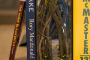 Build a Haunted Halloween Book Nook, Brooklyn, NY 4