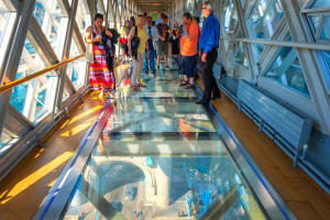 Guided Tower Bridge Tour & Thames Cruise London 3