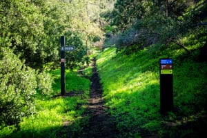 Trekking Parque Guay Guay Santiago Chicureo Views 3