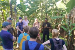 Uganda Coffee Tour on Mount Elgon 4