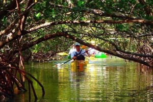 Fort Lauderdale Secluded Kayak Island Tour 3