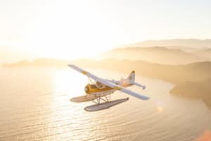 Greater Bay Area Seaplane Tour 4