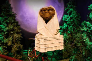 Entrada al Museo de Cera Dreamland 4