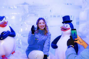 Entrada al Bar de Hielo Dreams Icebar en Foz do Iguaçu 3