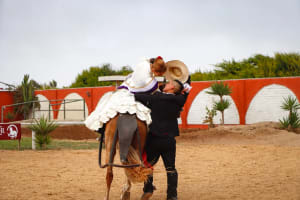 Show de Caballo Peruano de Paso en Trujillo 3
