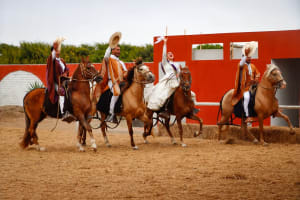 Show de Caballo Peruano de Paso en Trujillo 4