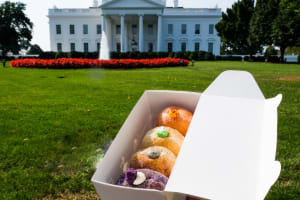 Washington DC Historic Delicious Donut & Walking Tour 3