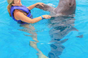  Dolphin Signature Swim 4