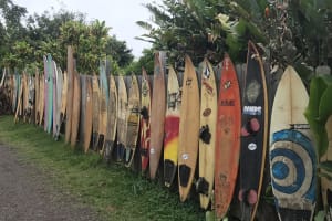 Halfway To Hana Private Luxury SUV Tour 4