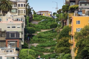 San Francisco Hop-On Hop-Off & Night Bus Tour 3