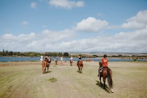 One Mile Beachfront Trail Ride (North Shore) 3