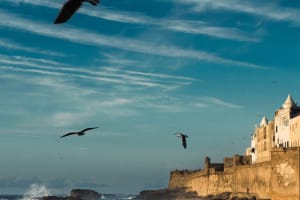 Marrakech to Essaouira: One-Day Trip. 3