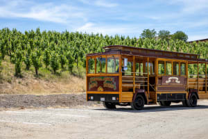 Temecula Winery Tour Lunch and Tastings Included 4