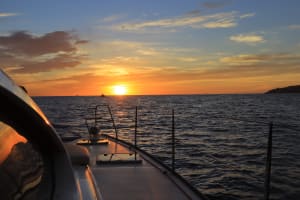 Cabo Luxury Sunset Sailing 4