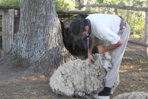 Ranch and Gaucho Town San Antonio de Areco 4