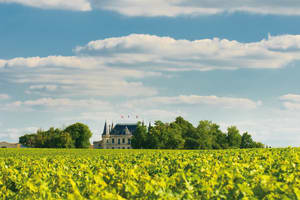 Private Cooking Class & Lunch in Médoc From Bordeaux  3
