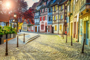Colmar Gourmet Food & Wine Tour (private) 4