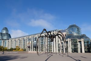 Best of Ottawa Small Group Walking Tour 4