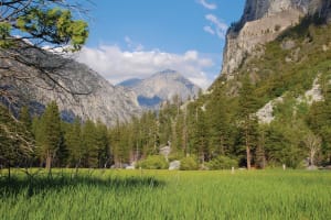 Scenic mountain valley with granite cliffs, pine forest, and lush meadow under clear blue sky