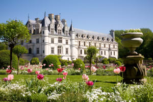 Chenonceau Castle A Half Day Trip from Tours (private) 4