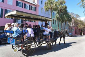 Private Daytime Horse-Drawn Carriage Tour of Charleston 3