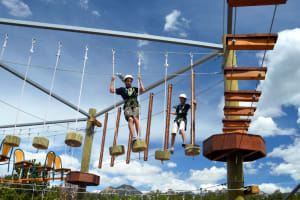 Admission to Open Air Adventure Park 4