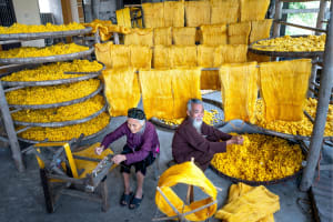 Explore the Best of Dalat’s Countryside Tour (Private Car) 3