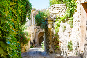 Three Days In Provence from Paris w/3-Star Hotel 4
