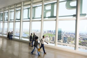 View Boston Observation Deck  - Sips & Sights Experience 3