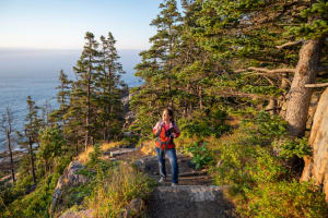 Best of Bar Harbor w/ Thunder Hole and Acadia National Park 3