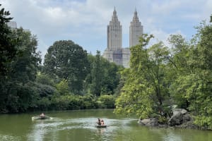 Central Park Walking Tour with Local Guide 3