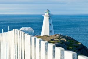 St. John’s Small Group Tour with Quidi Vidi Village and Signal Hill 4