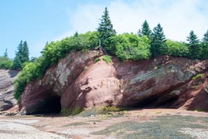 Hopewell Rocks Express Tour from Moncton 4