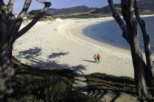 Two people walking on pristine white sand beach framed by gnarled tree branches, with turquoise water and rolling hills beyond