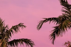 Scenic Miami Night Tour 3