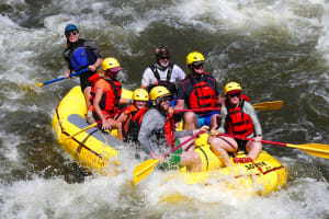 Bighorn Sheep Canyon Rafting (Full Day) 3